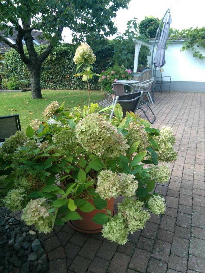 Ferienwohnung Kirschbluete Billigheim-Ingenheim Luaran gambar