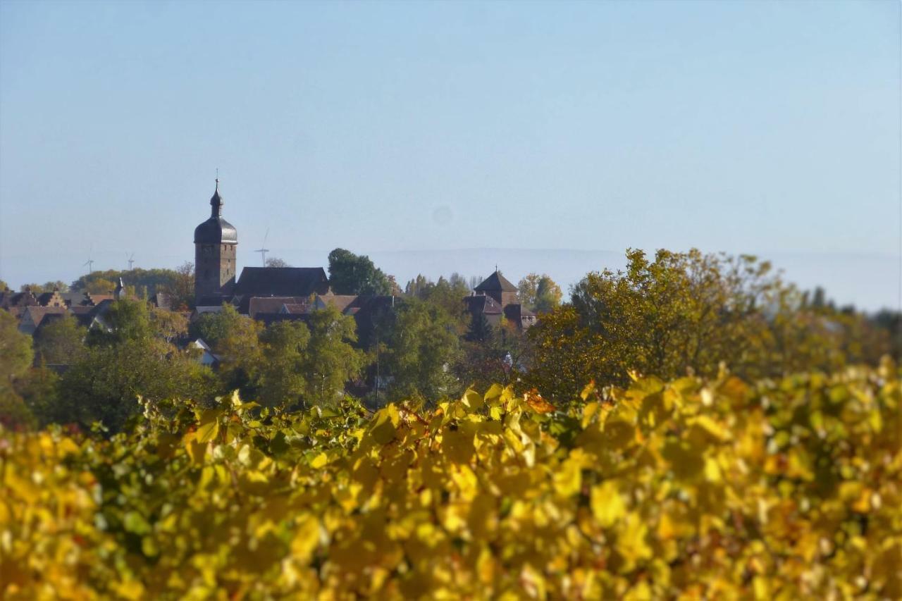 Ferienwohnung Kirschbluete Billigheim-Ingenheim Luaran gambar